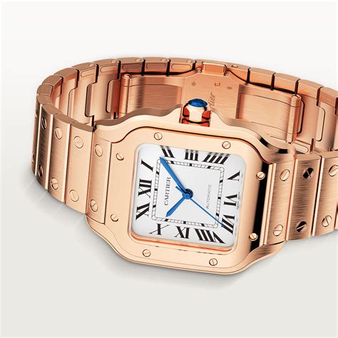 purchase cartier|buy cartier watches online.